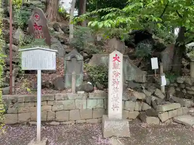 駒込富士神社(東京都)