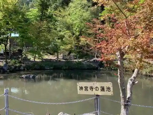 伊香具神社の庭園