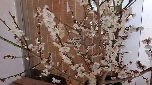 長良神社(群馬県)