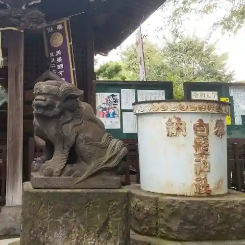 白髭神社の狛犬