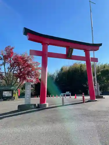 白笹稲荷神社の鳥居