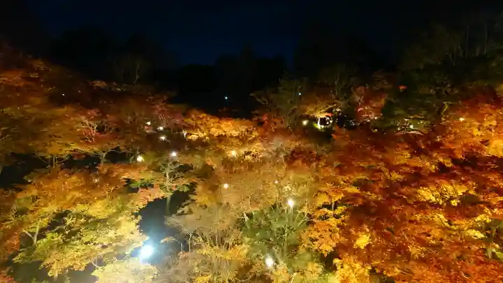東福禅寺(東福寺)の{uncategorized: "未分類", other: "その他", undefined: "問題あり", building: "その他建物", grave: "お墓", sacred_gate: "鳥居", guardian: "狛犬", statue: "像", buddha: "仏像", history: "歴史", nature: "自然", garden: "庭園", animal: "動物", pagoda: "塔", temizu: "手水舎", mountain_gate: "山門・神門", sanctuary: "本殿・本堂", subordinate: "末社・摂社", art: "芸術", scenery: "景色", jizo: "地蔵", ema: "絵馬", goshuin: "御朱印", omikuji: "おみくじ", items: "授与品その他", amulet: "お守り", goshuincho: "御朱印帳", eats: "食事", festival: "お祭り", votive_dance: "神楽", shichigosan: "七五三参", wedding: "結婚式", experience: "体験その他", initially: "初詣", around: "周辺", anti_infection: "感染症対策"}