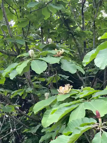 国上寺(新潟県)