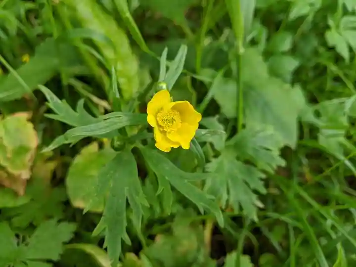 木曽駒ヶ嶽神社 奥社(長野県)