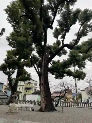 長曽根神社の自然