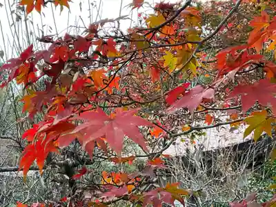 久昌寺(埼玉県)