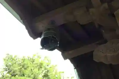 豪徳寺(東京都)