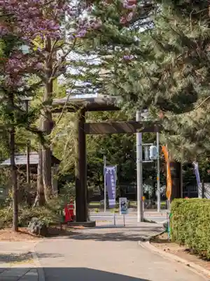 札幌護國神社の鳥居