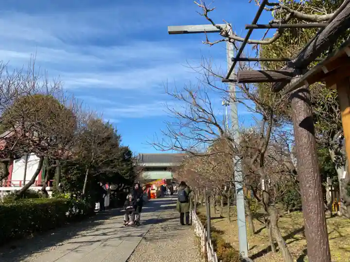 亀戸天神社の庭園