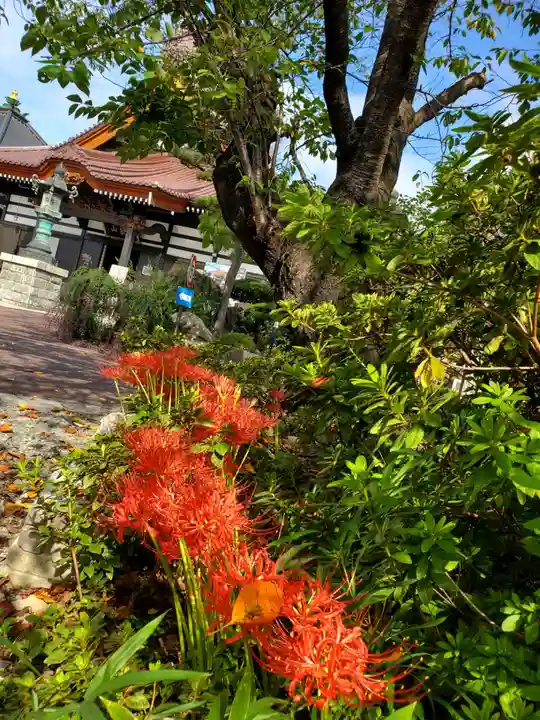 如宝寺(福島県)