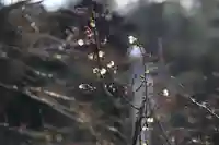 鹿島大神宮の庭園