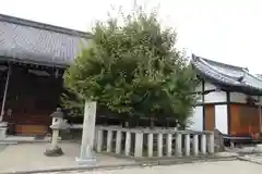 西大寺(奈良県)