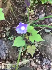 三輪神社の自然