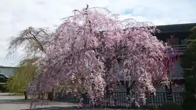 久遠寺(山梨県)