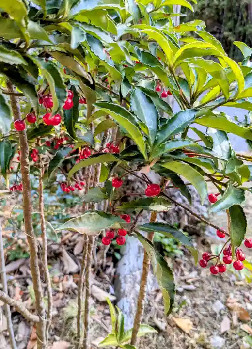 横浜 西方寺(神奈川県)