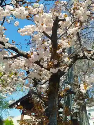 住吉神社(大阪府)