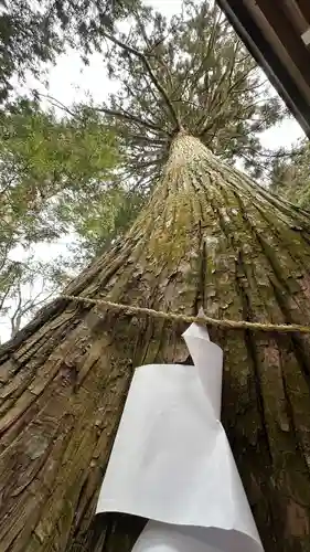 黒沼神社(福島県)