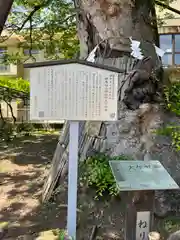 白山神社の自然