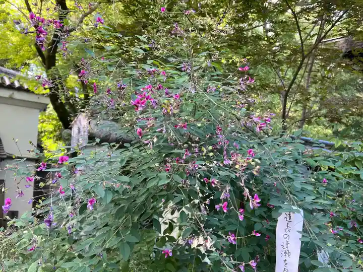 梨木神社(京都府)