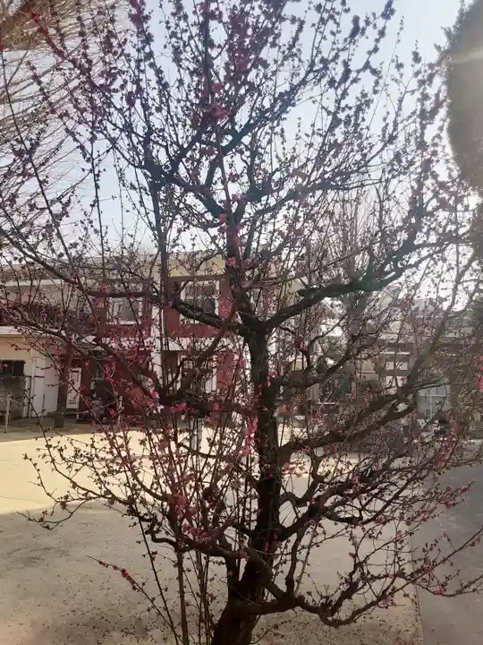 諏訪神社(東京都)
