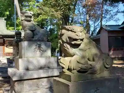 下高井戸八幡神社の狛犬