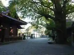 玉敷神社の建物その他