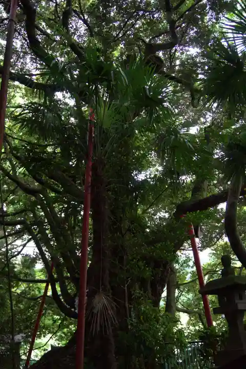 阿蘇神社(東京都)