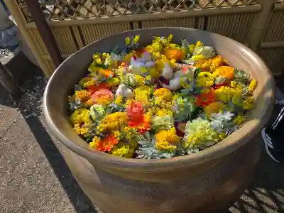 最明寺の{uncategorized: "未分類", other: "その他", undefined: "問題あり", building: "その他建物", grave: "お墓", sacred_gate: "鳥居", guardian: "狛犬", statue: "像", buddha: "仏像", history: "歴史", nature: "自然", garden: "庭園", animal: "動物", pagoda: "塔", temizu: "手水舎", mountain_gate: "山門・神門", sanctuary: "本殿・本堂", subordinate: "末社・摂社", art: "芸術", scenery: "景色", jizo: "地蔵", ema: "絵馬", goshuin: "御朱印", omikuji: "おみくじ", items: "授与品その他", amulet: "お守り", goshuincho: "御朱印帳", eats: "食事", festival: "お祭り", votive_dance: "神楽", shichigosan: "七五三参", wedding: "結婚式", experience: "体験その他", initially: "初詣", around: "周辺", anti_infection: "感染症対策"}