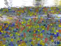 福井県護国神社(福井県)