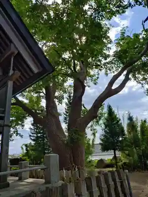 四本松神社(青森県)