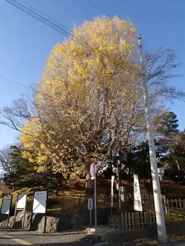 湯倉神社の自然