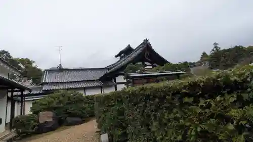 隨心院（随心院）(京都府)