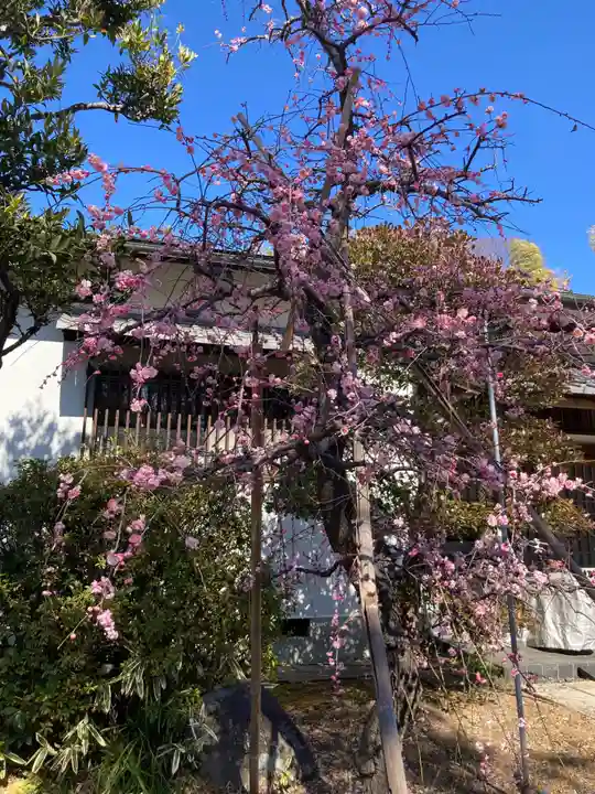 東光院(神奈川県)