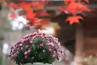 滑川神社 - 仕事と子どもの守り神の授与品その他