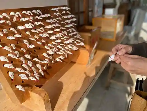 岩国白蛇神社のおみくじ