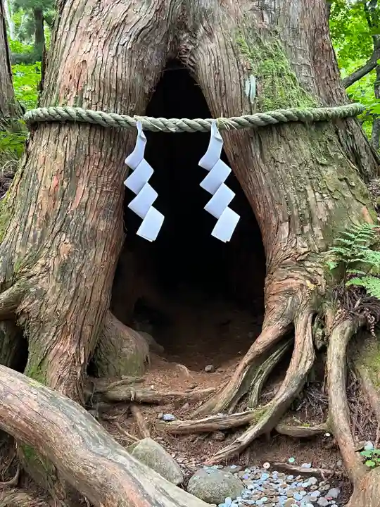 戸隠神社奥社(長野県)