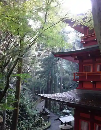 奥之院（岩屋寺）の景色