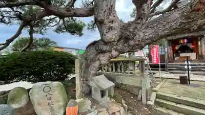 観音寺(山形県)