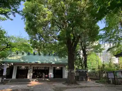 駒込天祖神社の本殿・本堂
