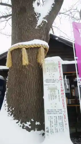 札幌諏訪神社の自然