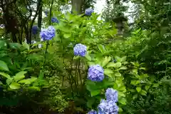 隠津島神社の庭園