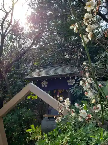 阿佐ヶ谷神明宮(東京都)
