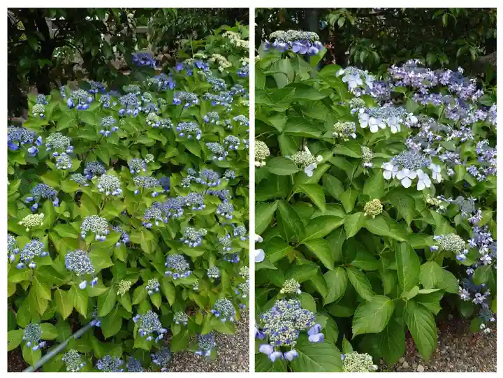 石坐神社(滋賀県)