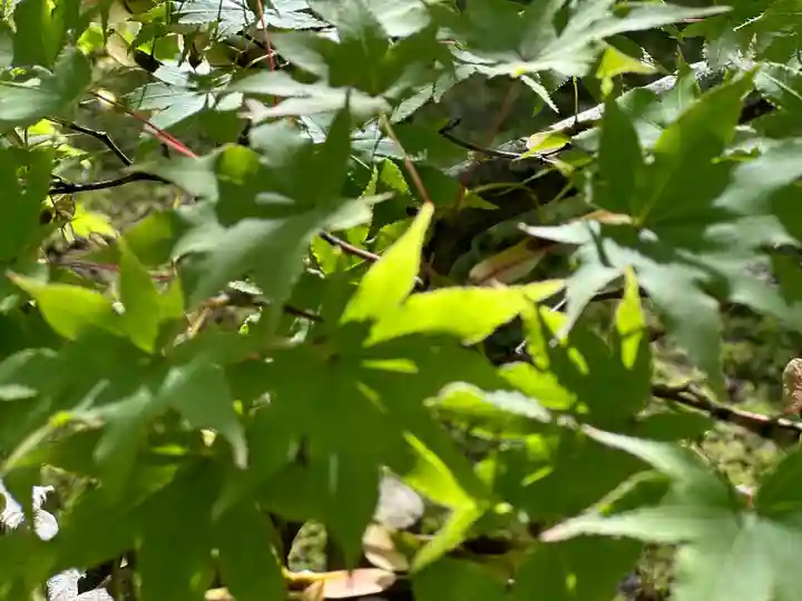 円通院(宮城県)