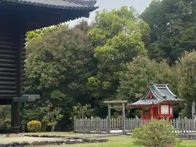 杉本神社（正倉院境内社）の{uncategorized: "未分類", other: "その他", undefined: "問題あり", building: "その他建物", grave: "お墓", sacred_gate: "鳥居", guardian: "狛犬", statue: "像", buddha: "仏像", history: "歴史", nature: "自然", garden: "庭園", animal: "動物", pagoda: "塔", temizu: "手水舎", mountain_gate: "山門・神門", sanctuary: "本殿・本堂", subordinate: "末社・摂社", art: "芸術", scenery: "景色", jizo: "地蔵", ema: "絵馬", goshuin: "御朱印", omikuji: "おみくじ", items: "授与品その他", amulet: "お守り", goshuincho: "御朱印帳", eats: "食事", festival: "お祭り", votive_dance: "神楽", shichigosan: "七五三参", wedding: "結婚式", experience: "体験その他", initially: "初詣", around: "周辺", anti_infection: "感染症対策"}