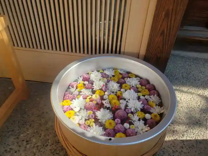 御井神社の手水舎