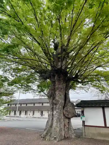 九品寺(群馬県)