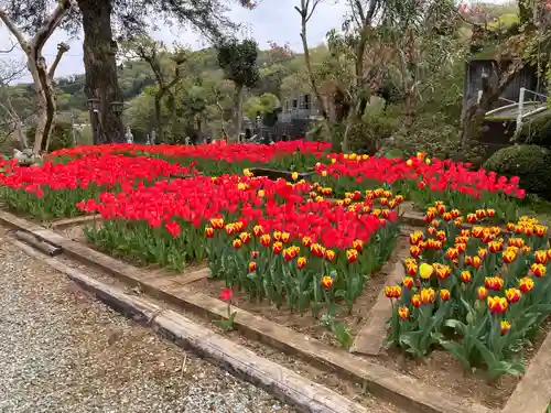 泉蔵寺の庭園