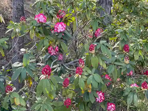 大生郷天満宮の自然