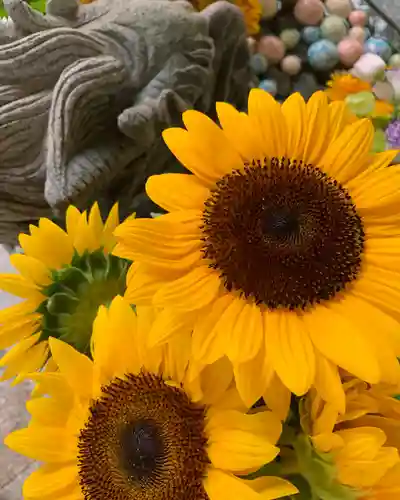 滑川神社 - 仕事と子どもの守り神の手水舎